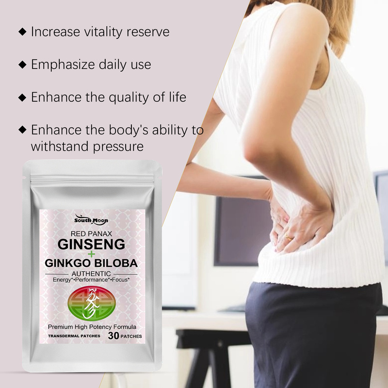 120個入り ドーパミンパッチ＆高麗人参・イチョウ葉配合の経 - Ginger Tea のレビューと価格