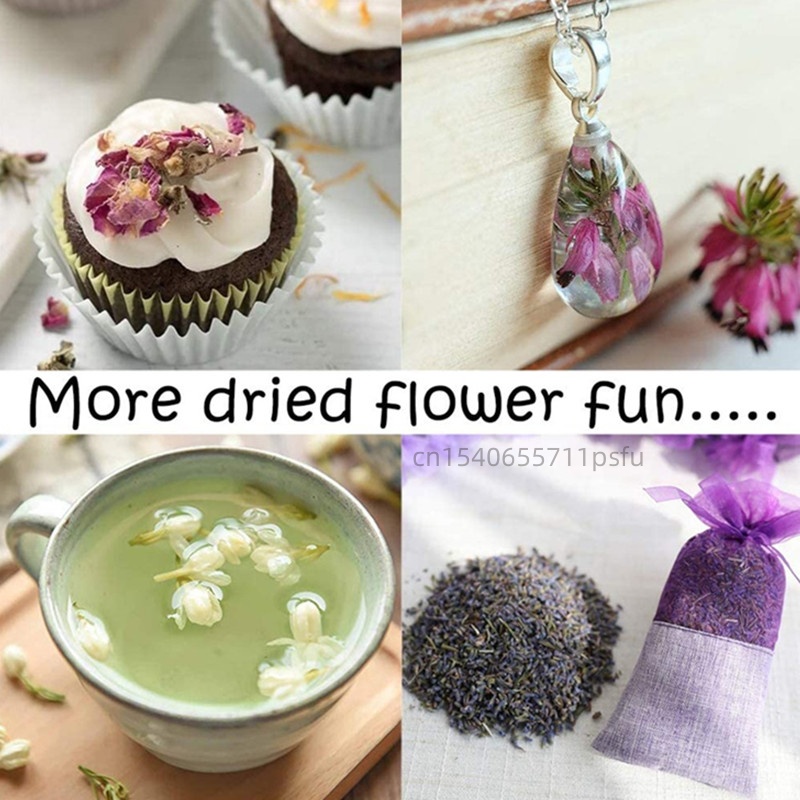 高品質天然ジャスミンのドライフラワーバッド、ジャスミンの花び - Chamomile Tea のレビューと価格