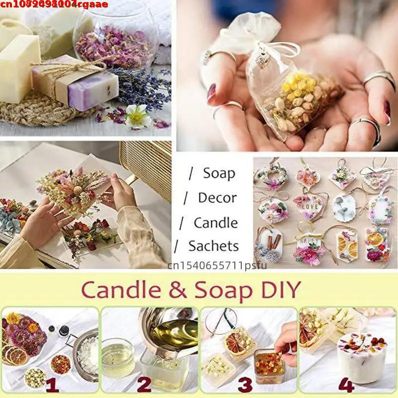 高品質の魔女初心者向け天然ドライフラワー ウィッカ、ウィッカ - Chamomile Tea のレビューと価格
